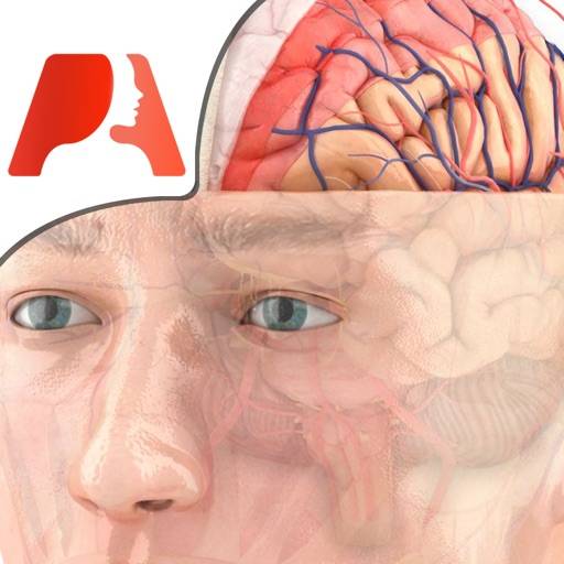 Pocket Brain icon