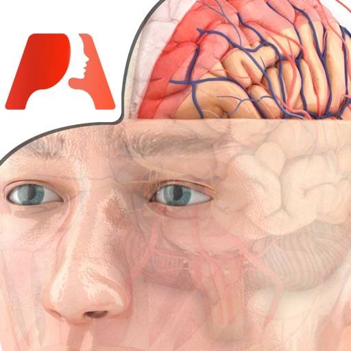 Pocket Brain - Neuroanatomía Interactiva