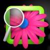 PicFind icon