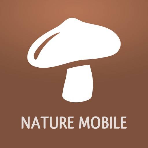 Mushrooms PRO icon