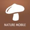 Champignons PRO app icon