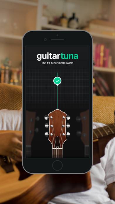 guitar tuna pro accuracy