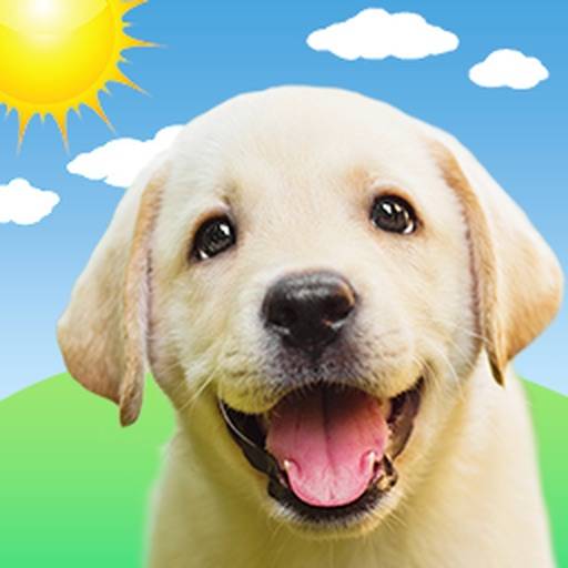 Weather Puppy Forecast plus Radar icon