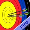 Archery Score Pro icon
