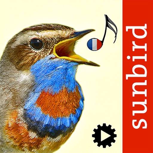 delete Chants d’oiseaux automatique