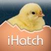 IHatch-Chickens app icon