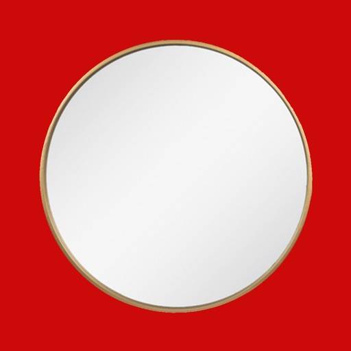 delete True Mirror!