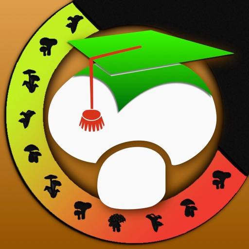 Знай лесные грибы! app icon
