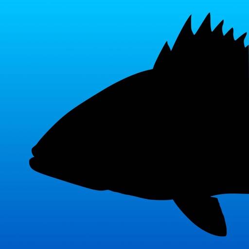 Fish Rules: Fishing App icon