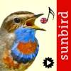 Bird Song Id UK app icon