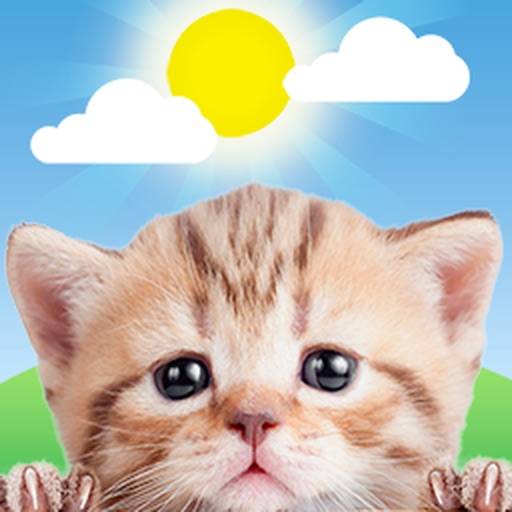 Weather Kitty: Weather plus Radar icon