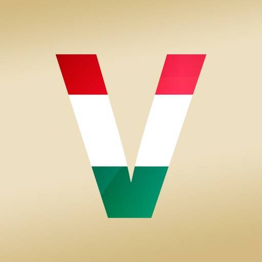 Hungarian Verb Conjugation icon