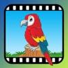 Video Touch - Wild Birds icon