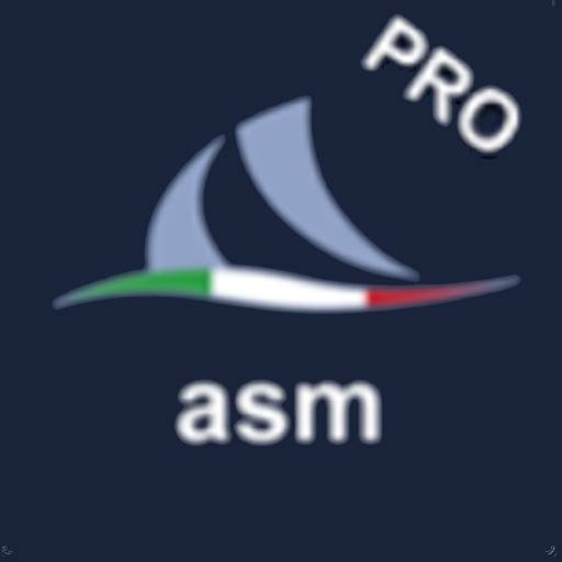AsmPro:Anchor Safe Monitor Pro icon