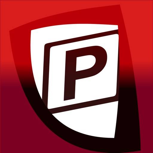 Zaragoza Parking icon
