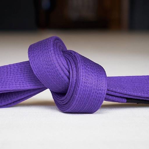 Purple Belt Requirements 2.0 icono