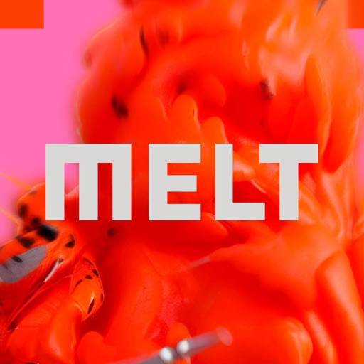 MELT Festival 2024 app icon
