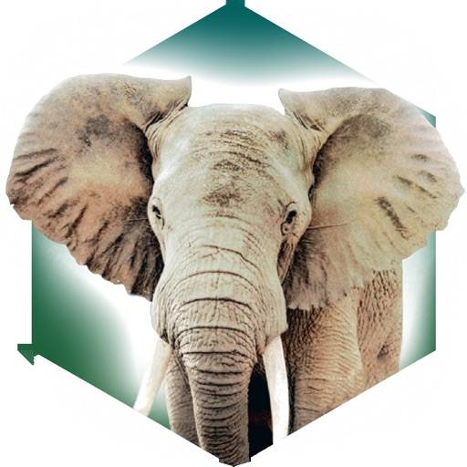 Ark Nova icon