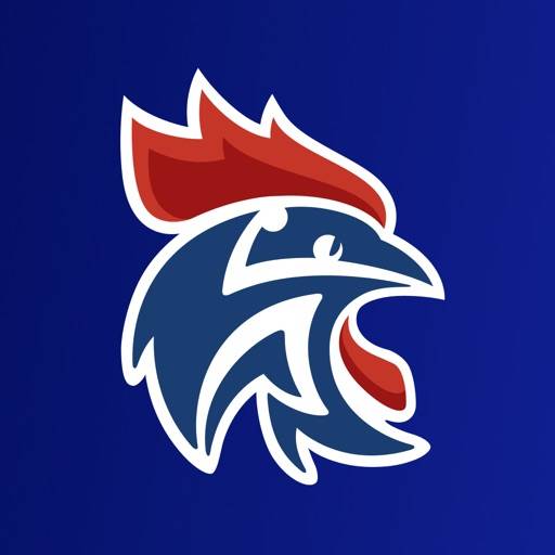 FFHandball app icon