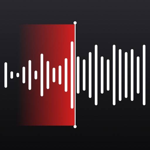 Voice Recorder: Transcribe it icon