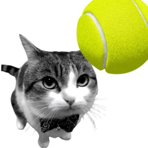Cat Tennis - Meme Game Symbol