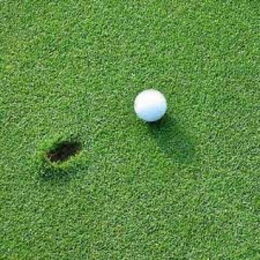 Tiger Bite - Green Hold Metric icon