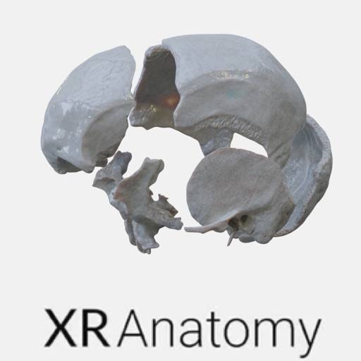3D Osteology app icon