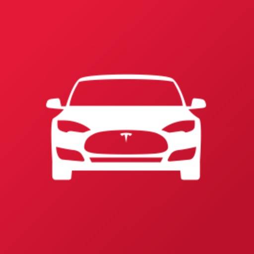 Tesla Pinger