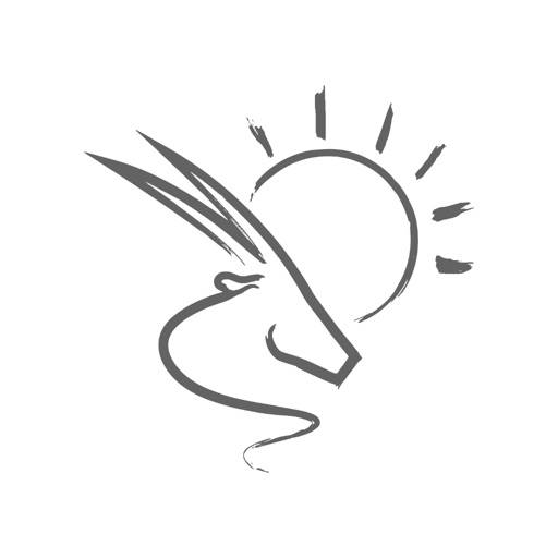 Pocket Guide Namibia löschen