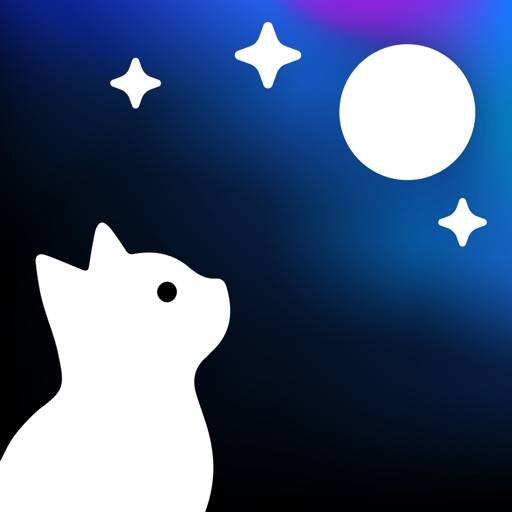StarCat app icon