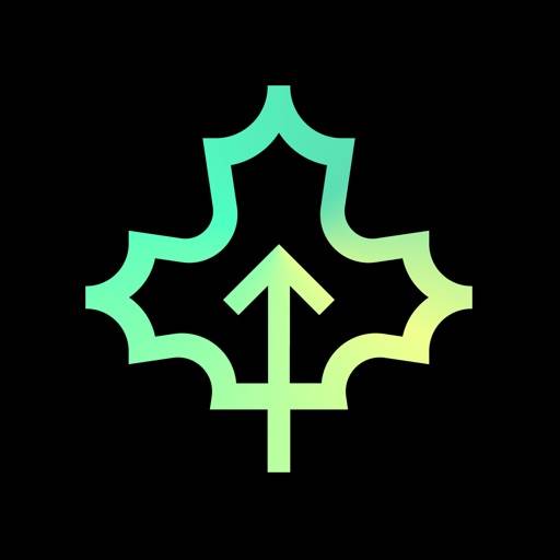 Azernis News App icon