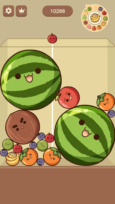 Watermelon Drop: Fruit Merge App Download