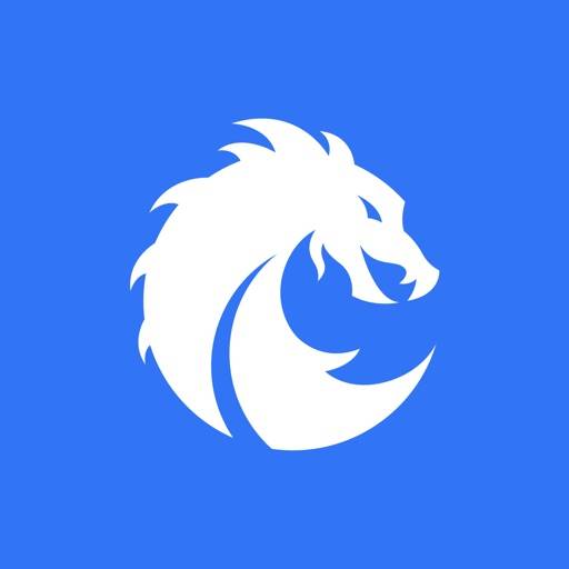 ЛИК app icon