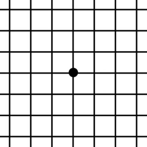 Amsler Grid App