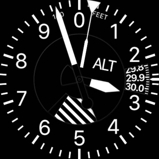 Pilot's Altimeter