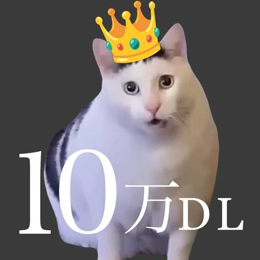 猫ミーム (Cat memes) app icon