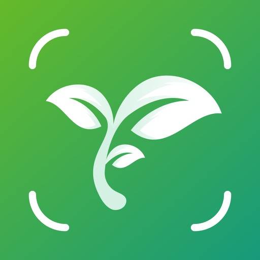 Ai Identificador de planta icono