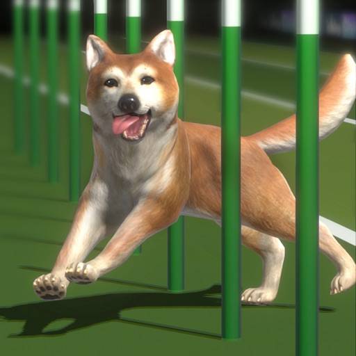 Top Dogs: Best in Show icon