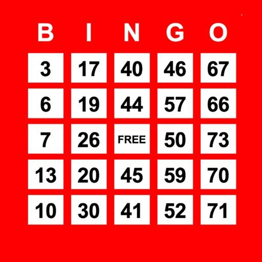 Play Bingo icon