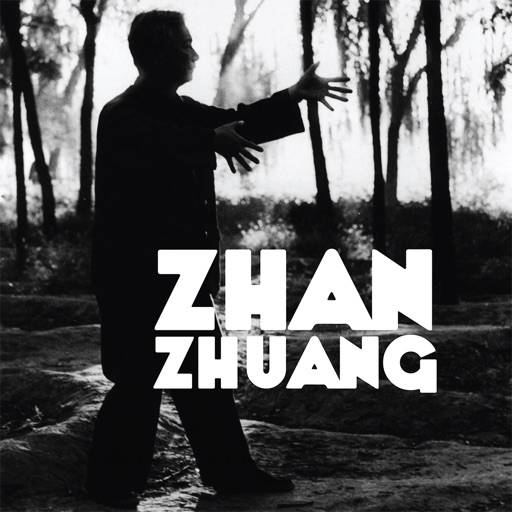 Zhan Zhuang: Nutrir la Vida icon