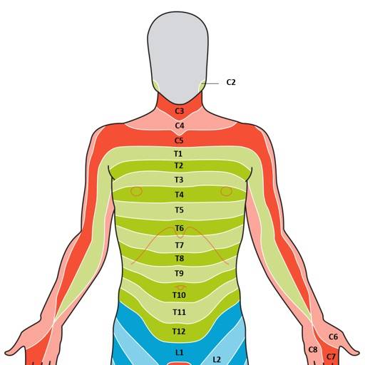 Dermatome Map and Tuning Fork Symbol