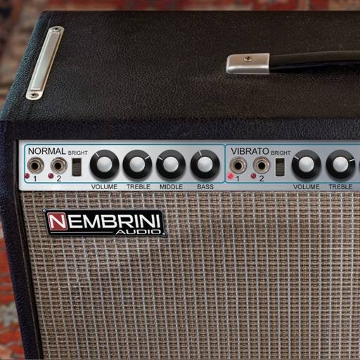 Double Reverb Guitar Amplifier