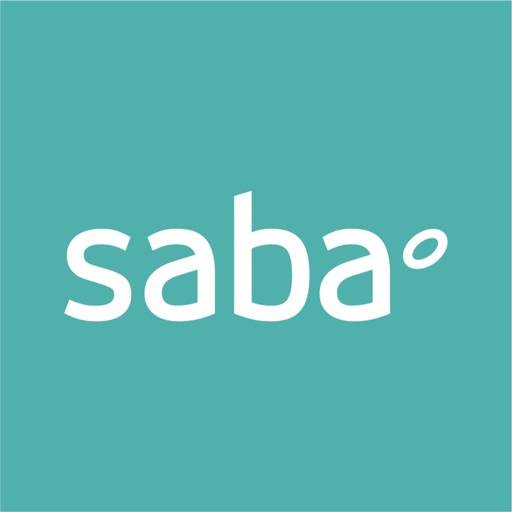 Parking Saba icon