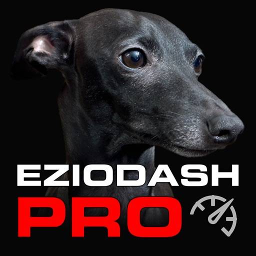 EzioDashPro icono