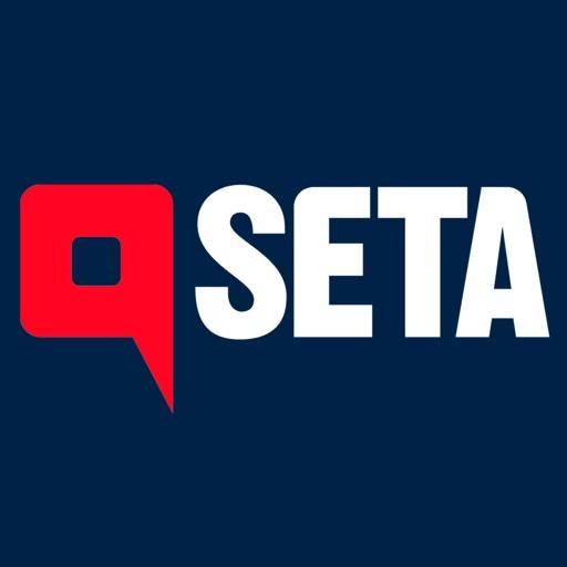 Seta icon