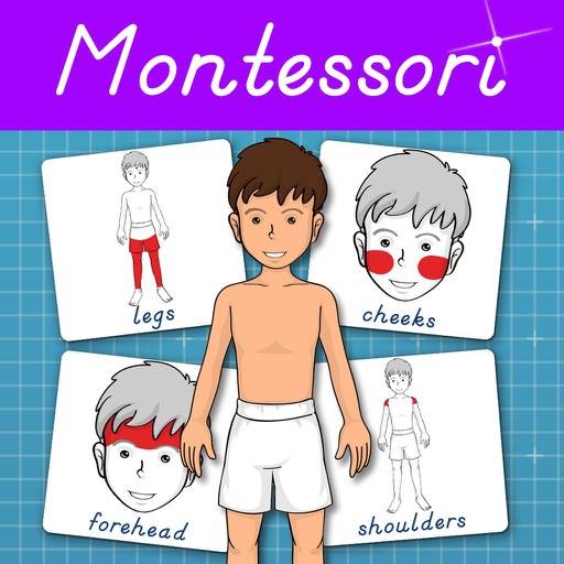 Human Body -Montessori Anatomy icon