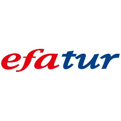 delete Efatur Servis