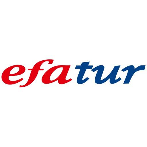 Efatur Servis icon