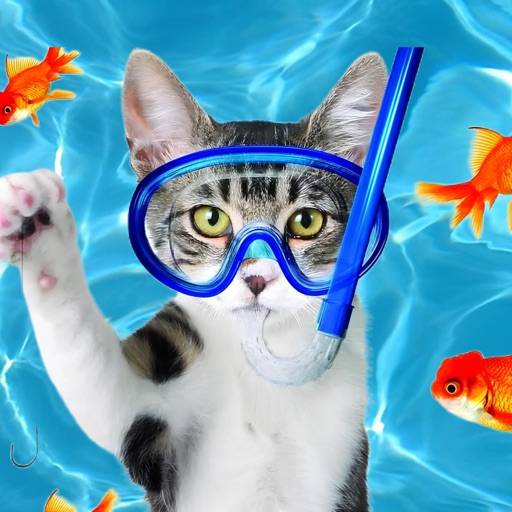 Cat Game - Jeu pour Chat