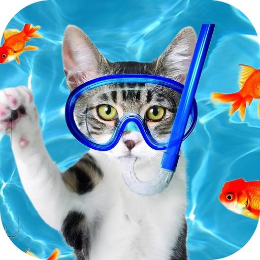 Cat Games for Cats & Pets app icon